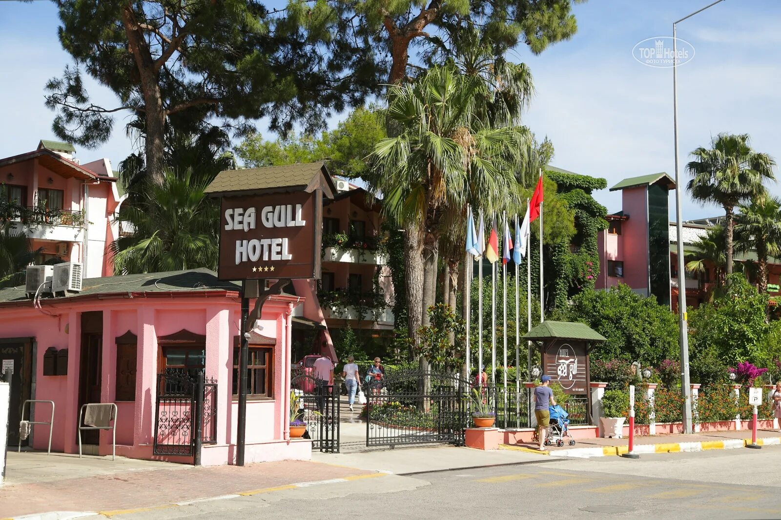 Seagull hotel 4 кемер. Seagull hotel 4 кемер. Кемер отель сигал 4. Отель сиагул в бельдиби. Sea gull 4 кемер отзывы.