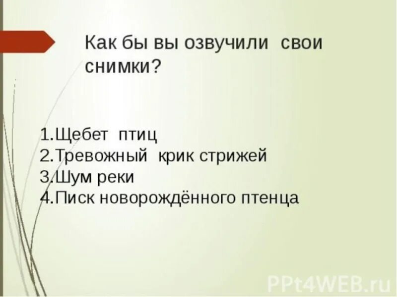 Литературное чтение план по рассказу стрижонок скрип. План про стрижонка скрипа. План рассказа Стрижонок скрип. План по рассказу скрип. План по рассказу Стрижонок скрип 4 класс.