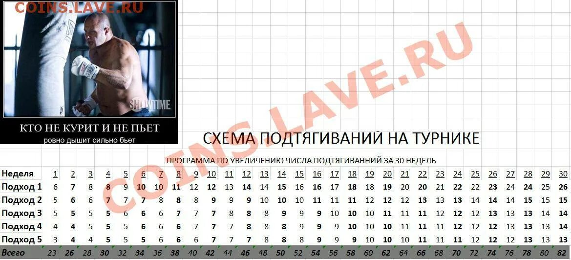 Подтягивания 30 дней. Схема подтягиваний на турнике. схема подтягиваний на турнике на 30 дней. программа тренировок на турнике на 30 недель. подтягивание на турнике схема подтягиваний.