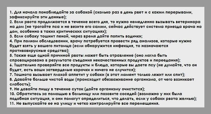 Почему рвет что делать. Рвота желчью после еды. Рвота желчью после еды причины. Желчь при рвоте причины.