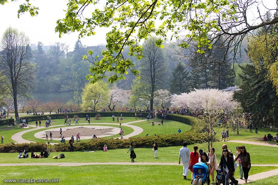 Hyde park toronto. Канада парки торонто. Парк елизаветы ванкувер. Парки хаем. Риджентс парк лондон театр.