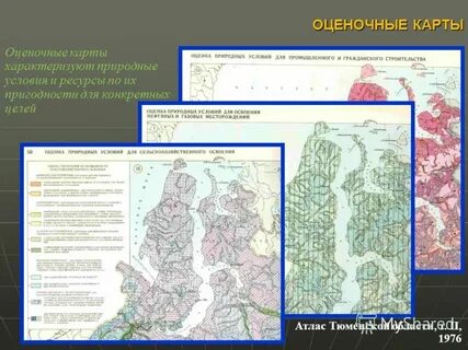 Тип карт область