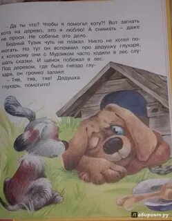 Приют тузик