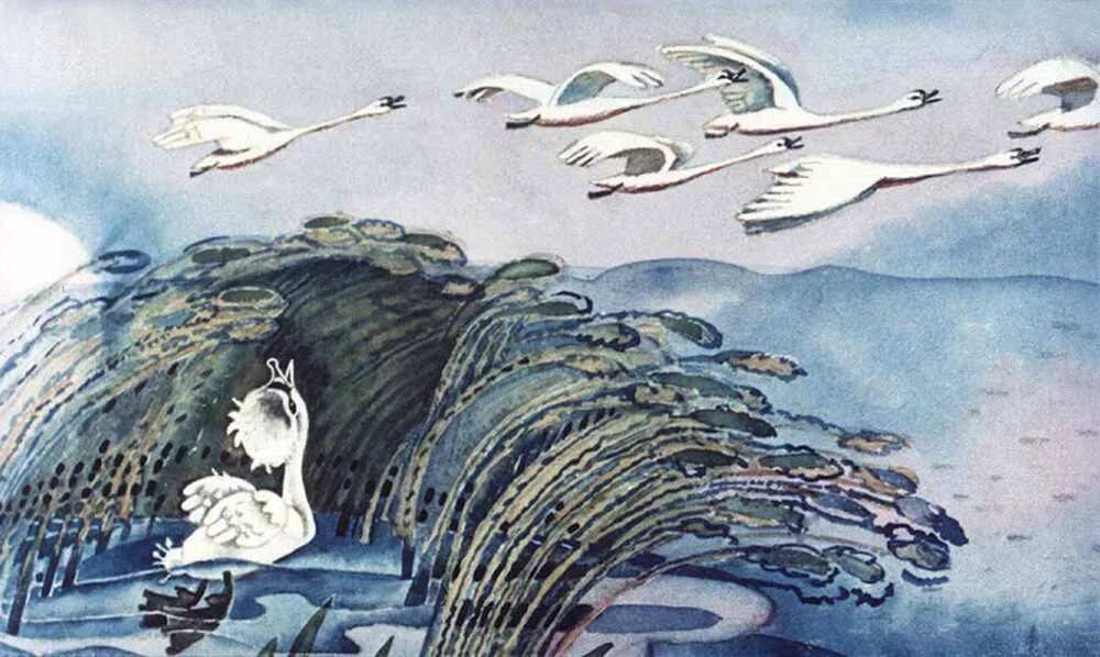 Лебеди испустили какой то странный крик. Лебеди испустили какой то странный крик. Л толстой лебеди стадом летели. Метнулись вдалеке гуси-лебеди и пропали за лесом. Карнавал животных лебедь.