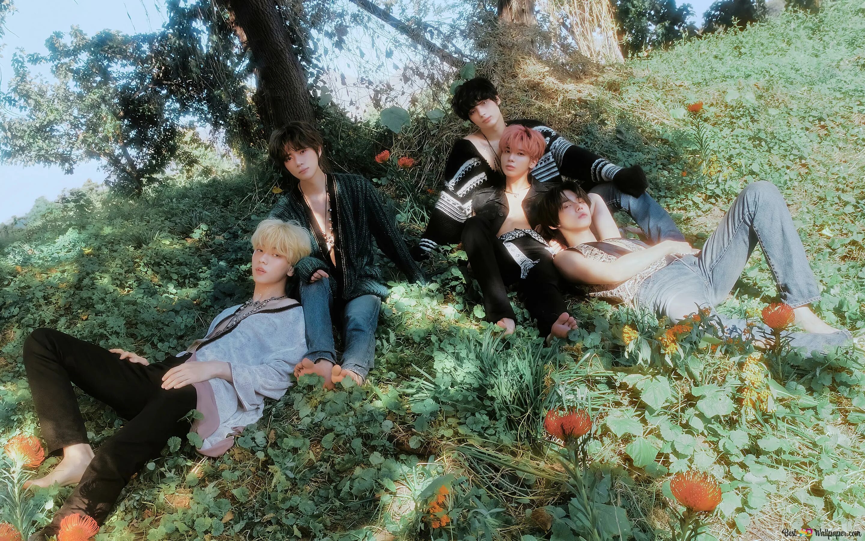 Тхт шугар. Тхт темптатион. группа txt 2025. tomorrow x together(txt) 2025. the name chapter temptation.