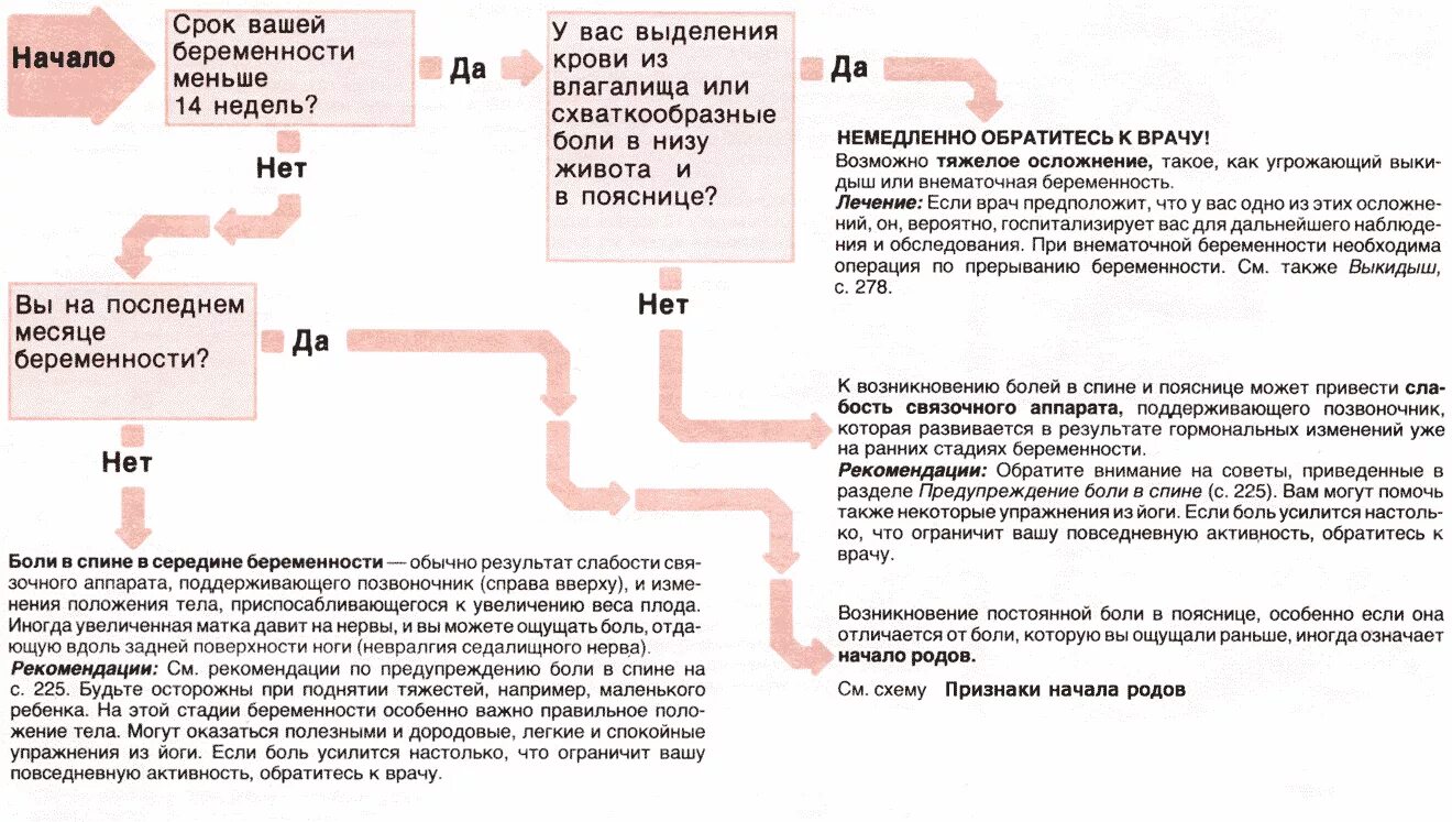 Сильно болит поясница тянет низ живота. Болит низ живота при беременности. при беременности болит низ живота на ранних сроках. тянет низ живота при беременности. боли в животе у беременных на ранних сроках.