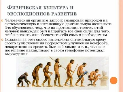 Основные этапы развития физической культуры