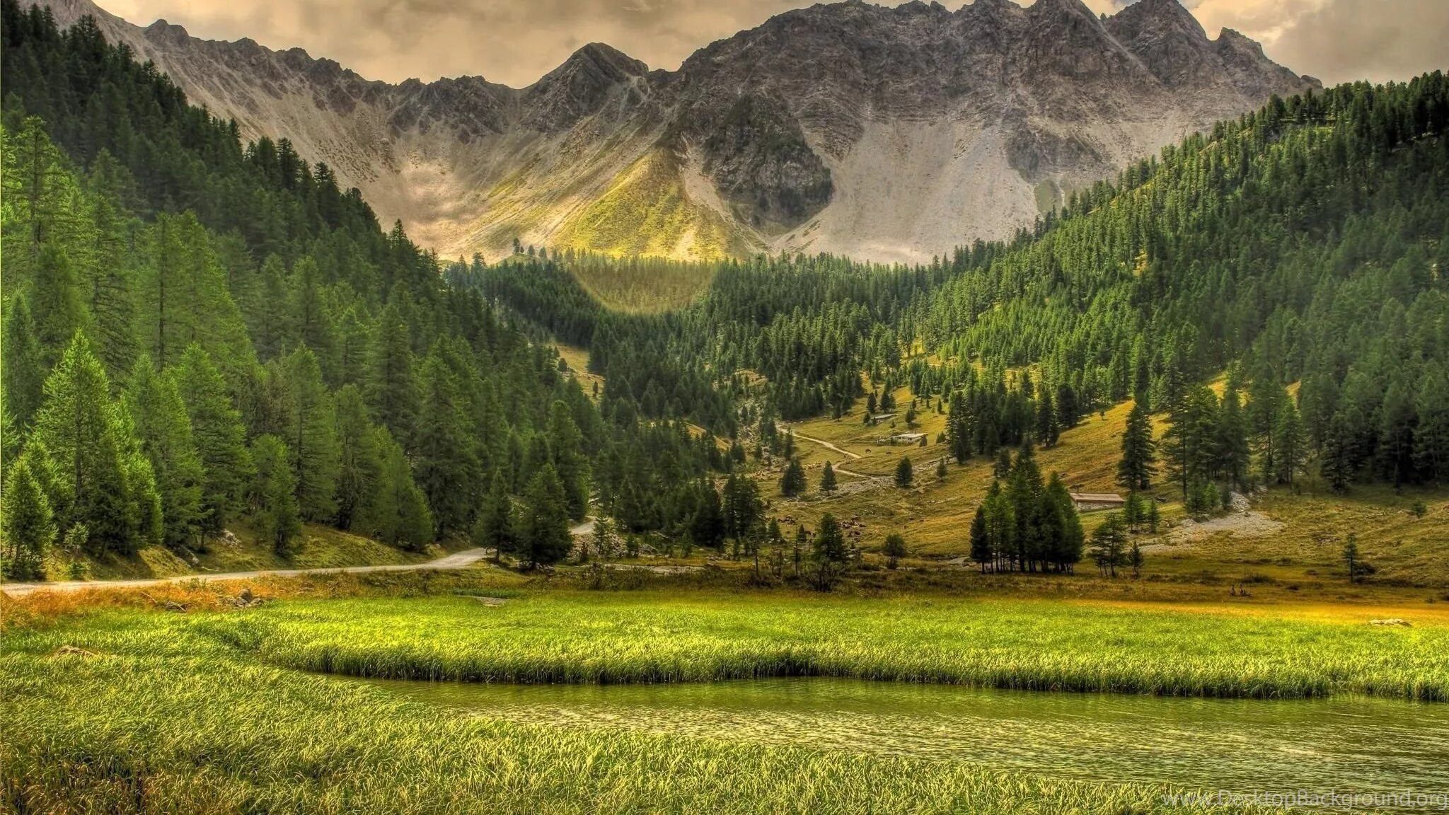 Environments view