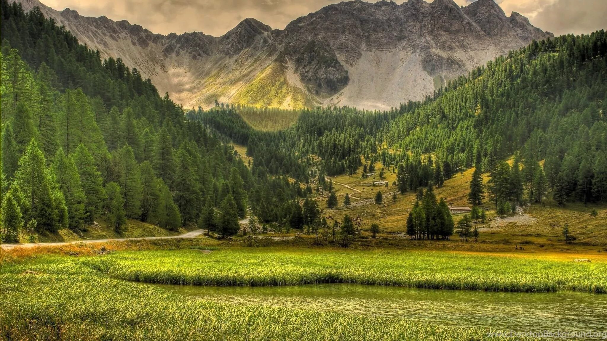 Natural view. Грин Маунтин гора. Киргизия горы Долина Арашан. Сглаженный ландшафт Долина горы лес Тайга. Красивый пейзаж.