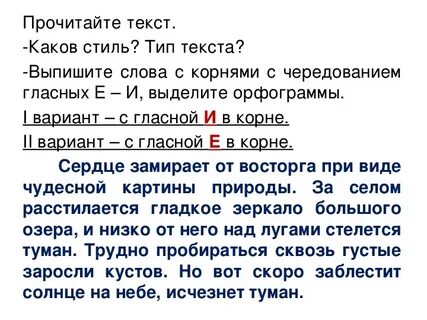 На правом пути расстилалась кочковатая равнина