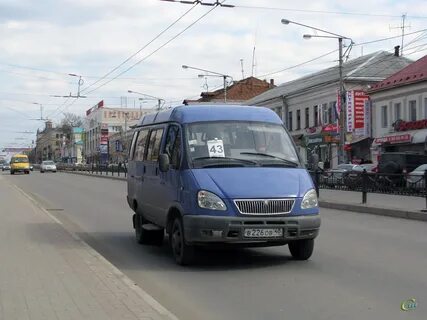 Газель калуга область