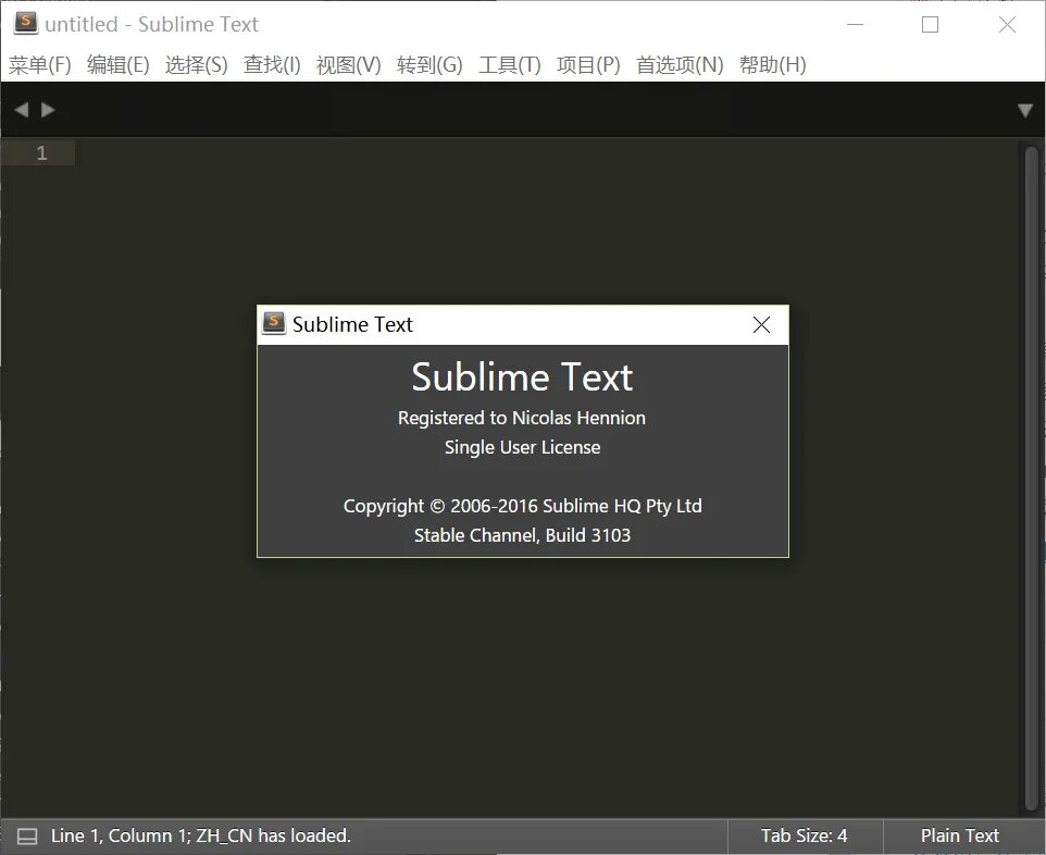 Reg txt. Sublime text. Sublime text 3. Sublime text 4. Sublime text Editor.