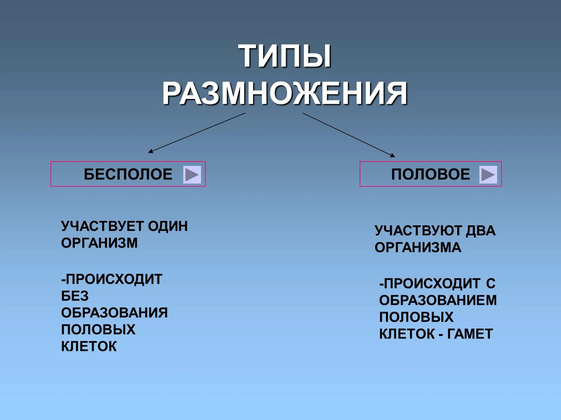 Назовите тип размножения