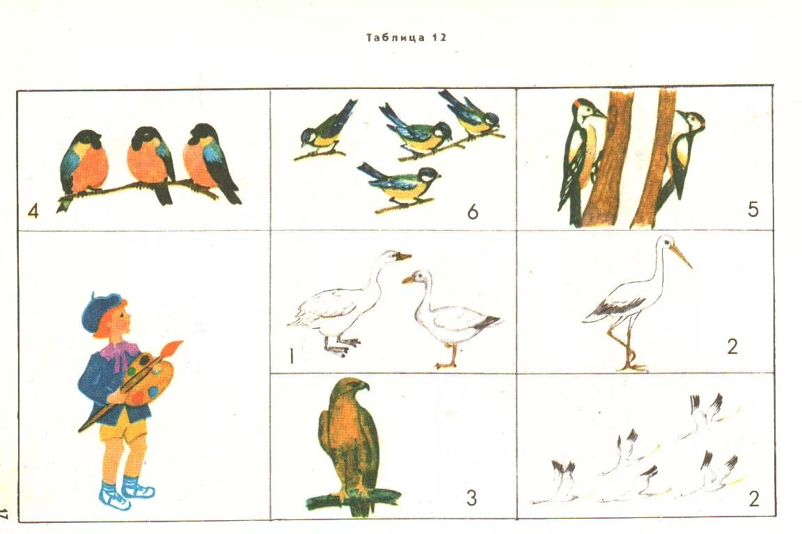 Птицы задания. Птицы задания для дошкольников. Зимующие птицы задания для дошкольников. Перелетные птицы задания для дошкольников.