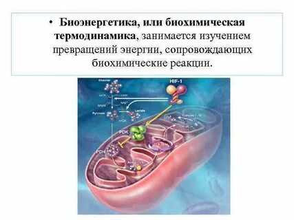 Окисление органических молекул