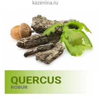 Экстракт коры дуба