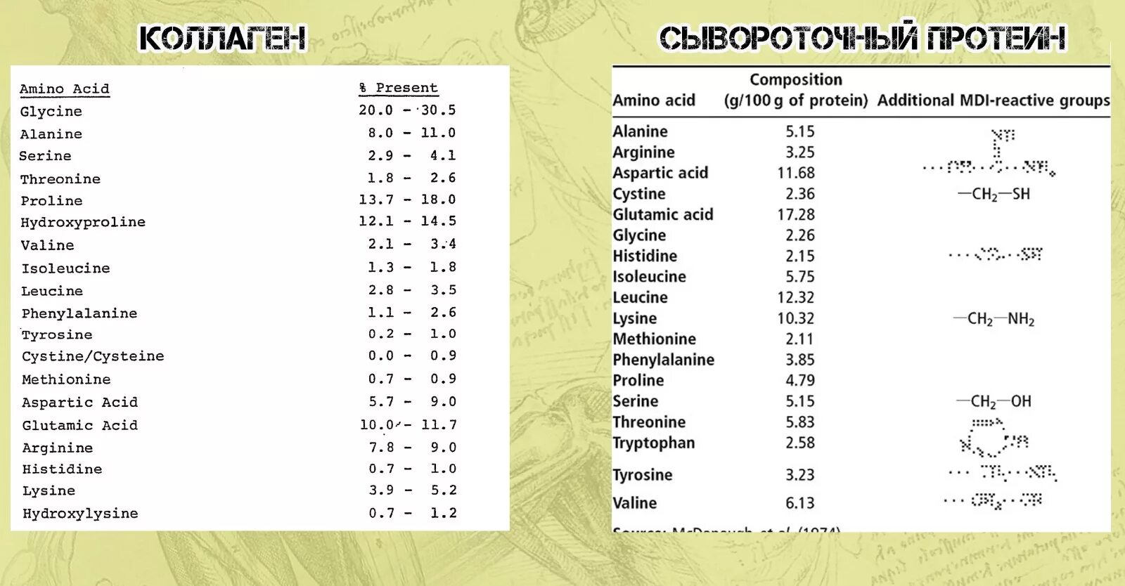 Какие аминокислоты в коллагене