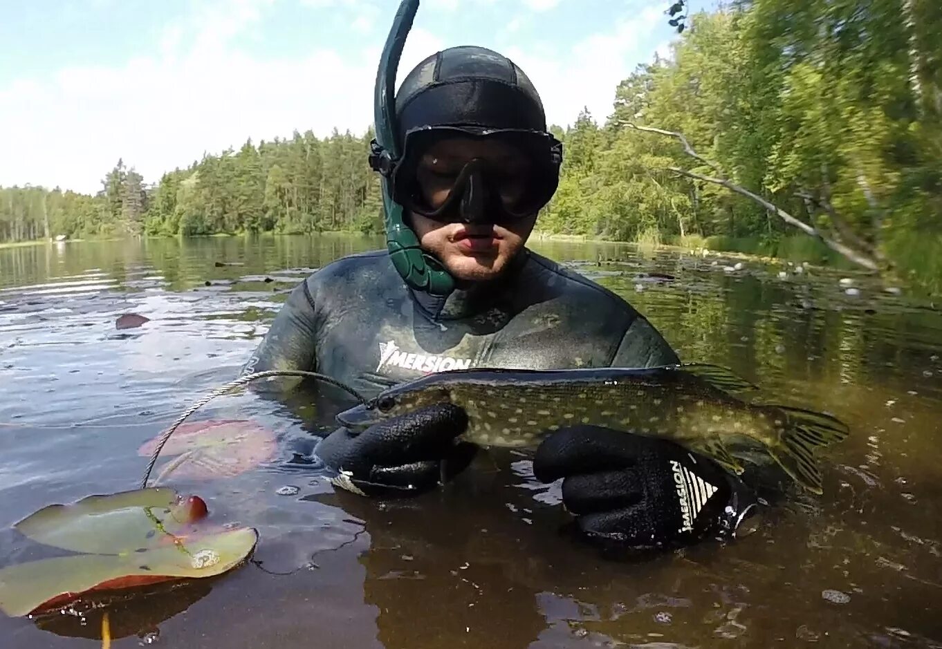 Рыбалка видео ловля. Подводная охота. Охота и рыбалка. Подводная рыбалка. Подводная охота на щуку.