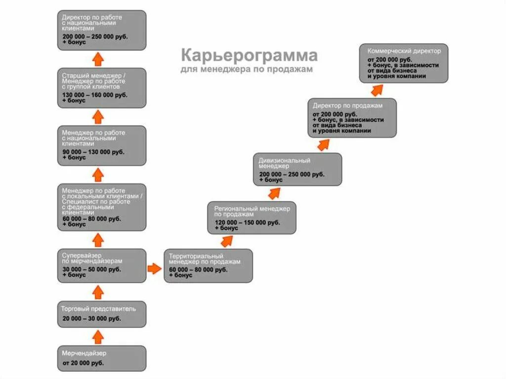 Карьерный рост сотрудника. Карьерограмма менеджера по персоналу. Карьерограмма менеджера по персоналу пример. Карьерограмма коммерческого директора туристической фирмы.. Карьерограмма менеджера по продажам пример.