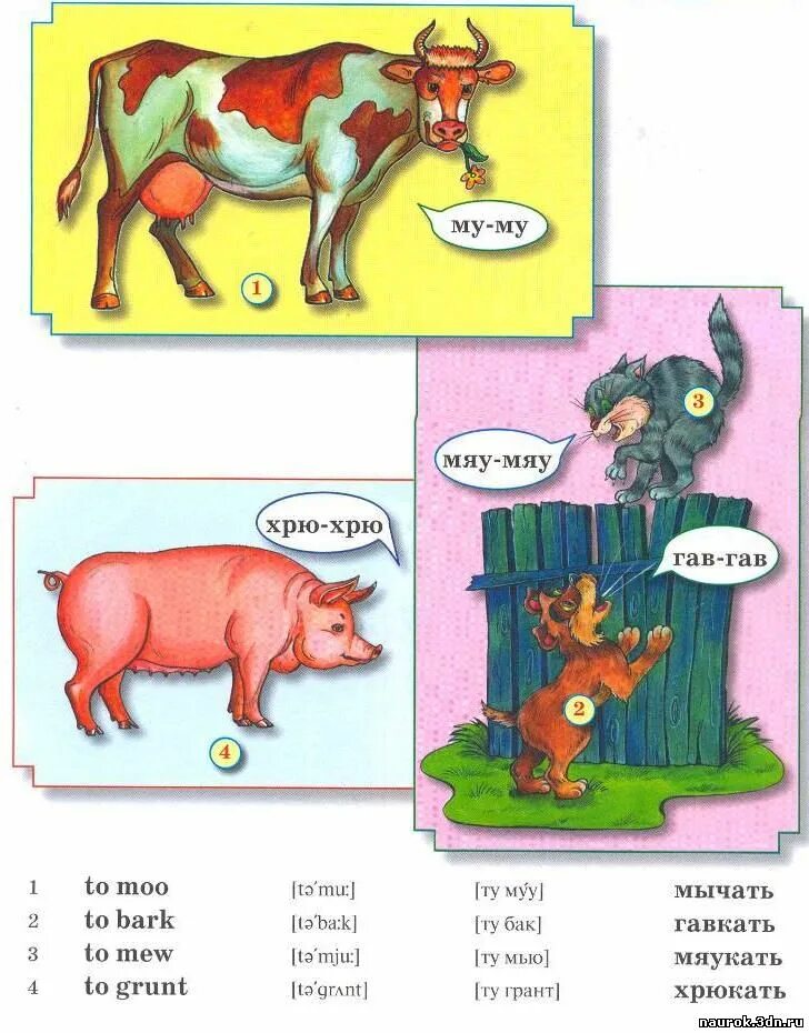 котик мяу. звук кошки в разных языках. кот на разных языках. звуки животных на разных языках мира. как мяукают кошки в разных странах.