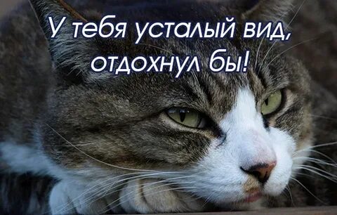 Выглядит устало