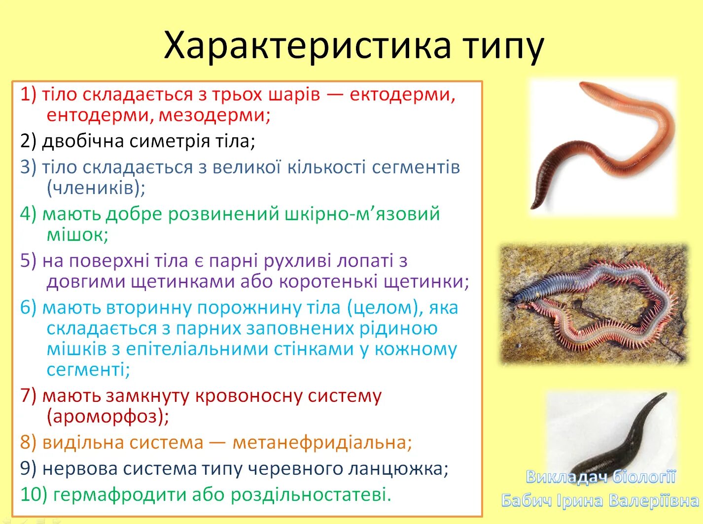 Дать характеристику кольчатым червям. Круглые и кольчатые черви сравнение. Нервова система кільчастого черва. Кільчасті та круглі черви.