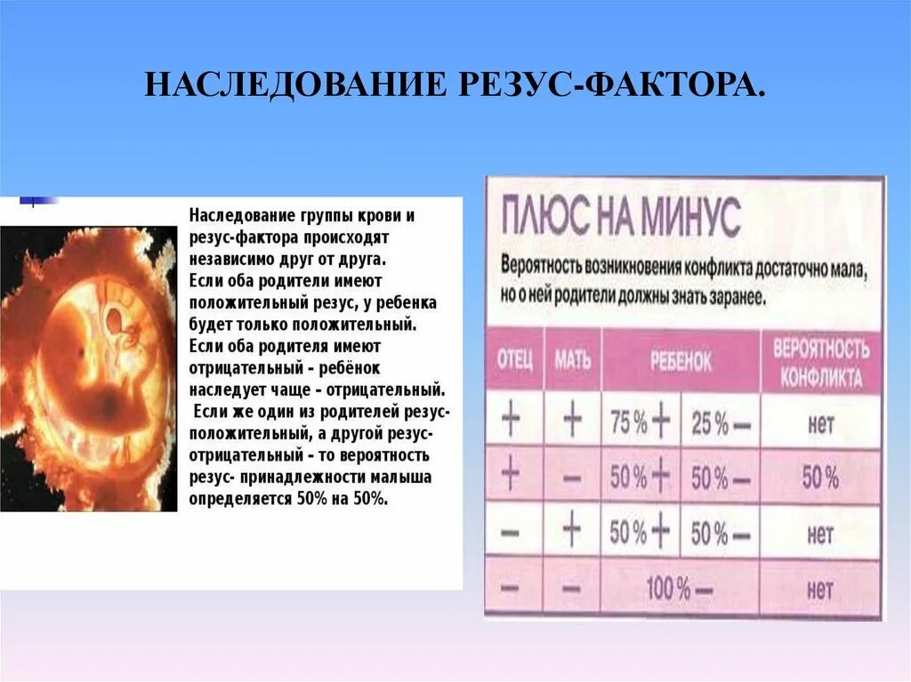 Группа крови плода. Группы крови и резус-фактор таблица. Наследование групп крови и резус фактора. Наследование групп крови и резус фактора у человека. Наследование резус фактора родителей таблица.