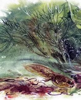 Книга великан на поляне история с головастиком