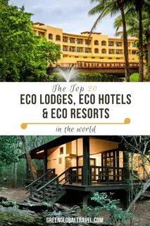 Eco resort отзывы