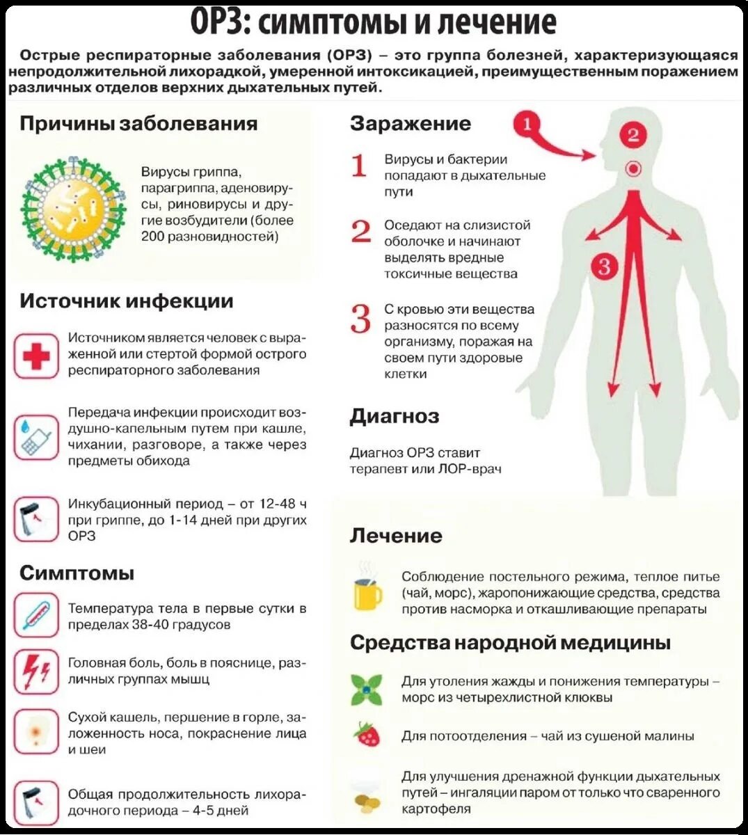 Почему при гриппе болит