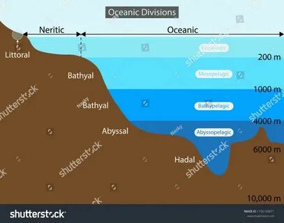Какой слой в океане