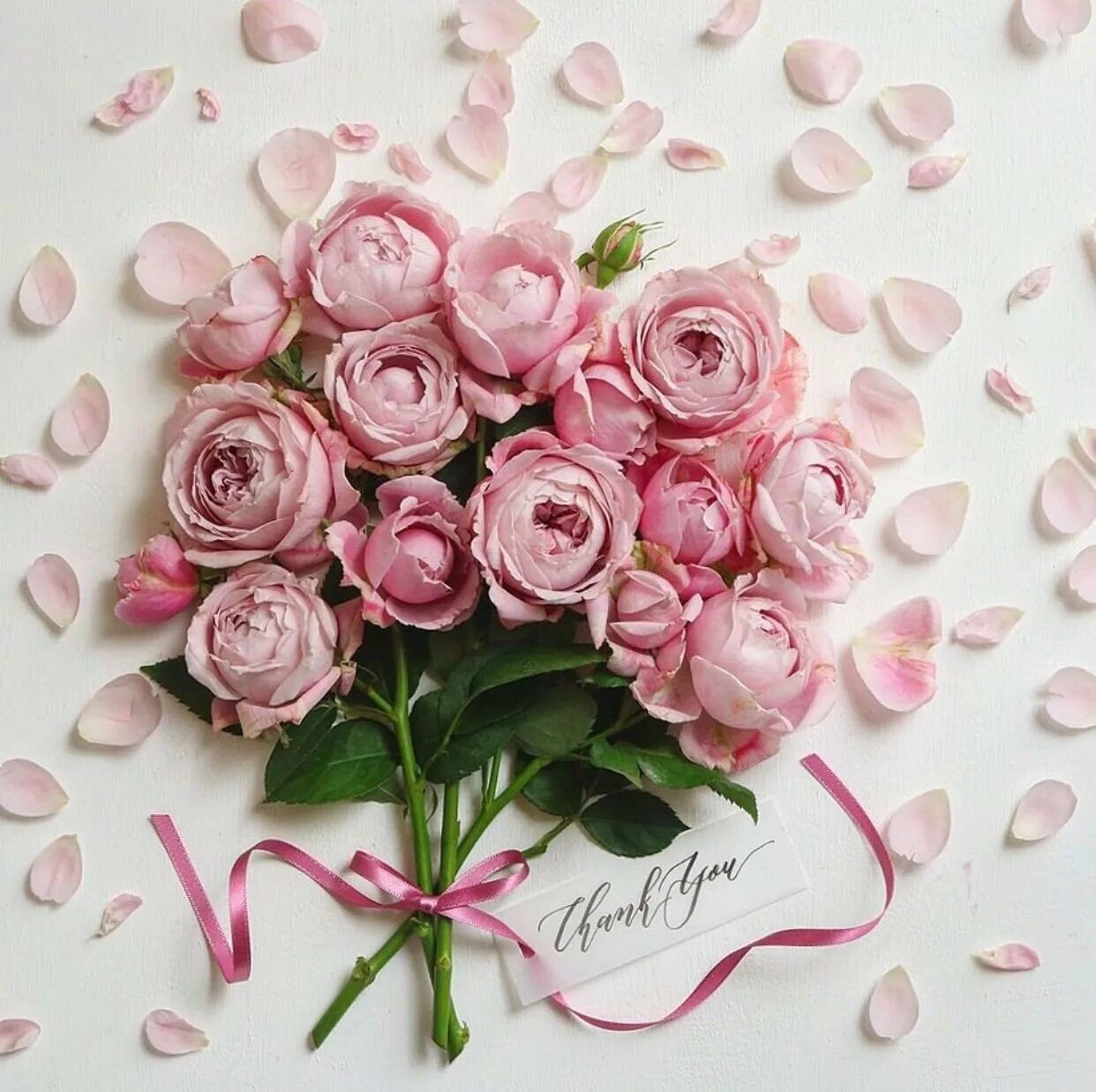 С днём рождения таня красивые поздравления. С днём рождения ташюша. С днём рождения татьяна открытки. Татьяну с днем рождения стильные. Стильное поздравление с днем рождения.