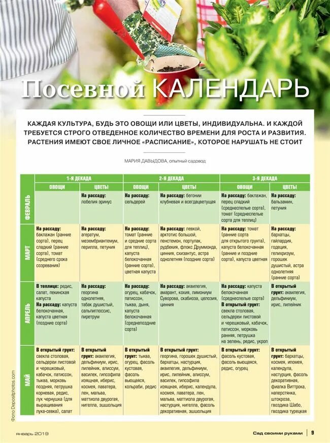 Какие сроки посева семян. Сроки посадки рассады. Сроки посадки овощей. Сроки высадки рассады овощей. Сроки высадки цветов на расс.