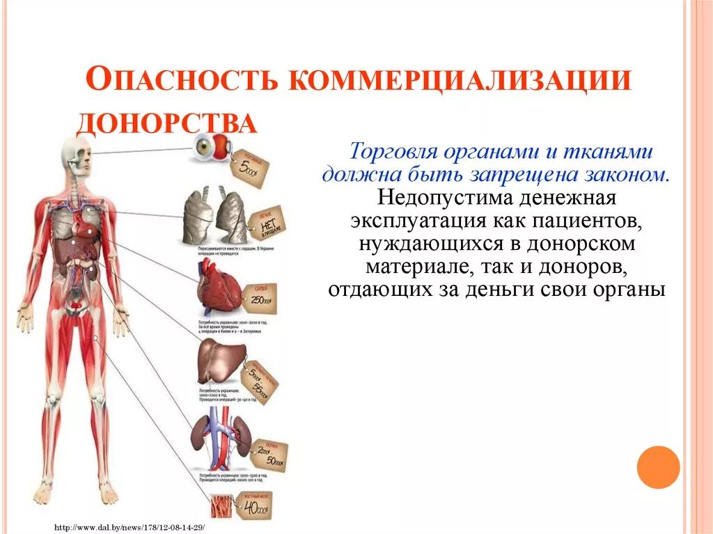 Донорство тканей. Опасность коммерциализации донорства. Трансплантология органов. Проблемы коммерциализации в трансплантологии. Проблемы коммерциализации донорства органов.