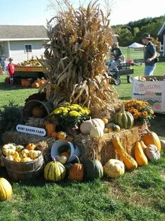 Harvest festival