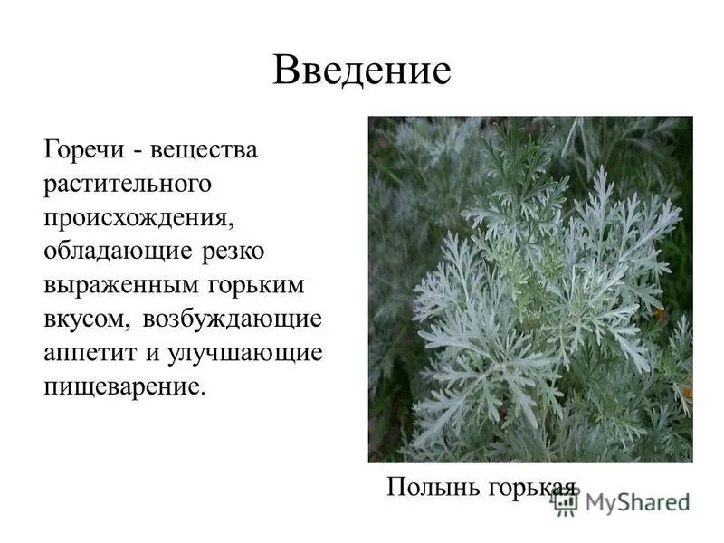 читать горькая полынь