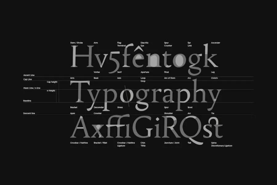 Подходящие шрифты для презентации. Шрифты. разработка шрифта. типографика шрифты. анатомия шрифта.