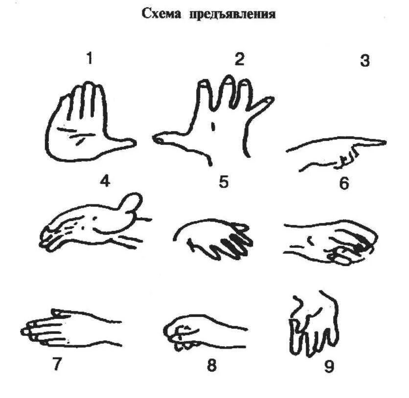 Интерпретация результатов теста руки. Проективная методика рука вагнера. проективная методика hand-тест. тест руки вагнера таблица результатов. тест руки вагнера hand test.