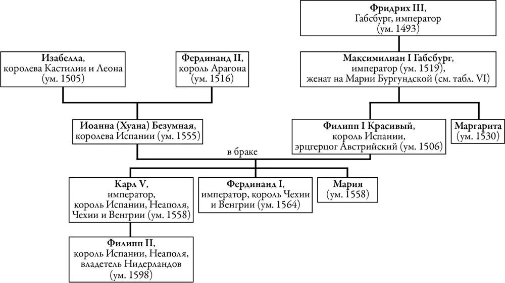 Правление габсбургов. Родословная Габсбургов Династия. Династия Габсбургов генеалогическое Древо. Родословная Габсбургов схема. Родословная гамбсгоргов.