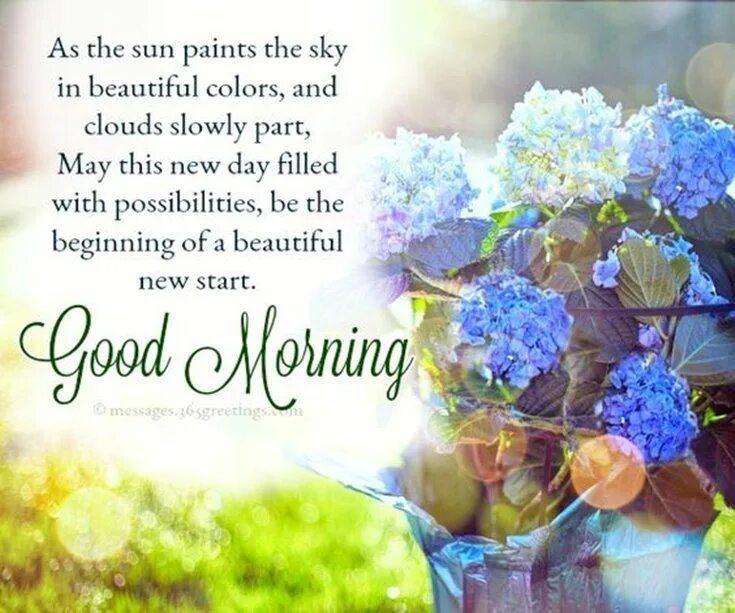 Make this day good. Greetings for a good Day. Beautiful morning Wishes. Good morning Wishes and Greetings. Бьютифул Дэй.