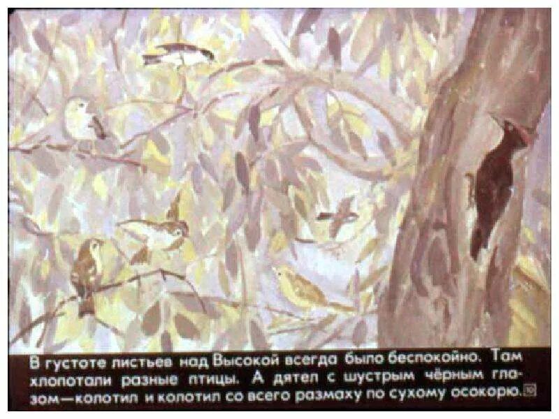 Читать дремучий медведь. Дремучий медведь паустовский. дремучий медведь. сказка дремучий медведь. дремучий медведь презентация.
