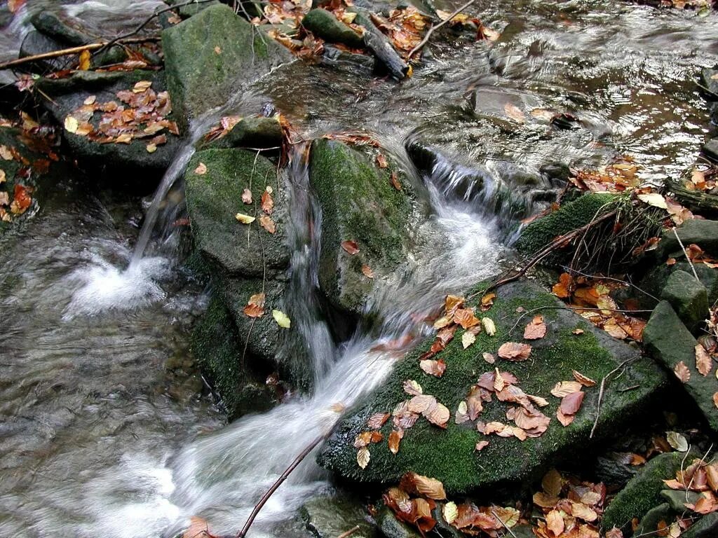 Родник во сне. Родник. Вода Родник. Вода в природе Родник. Родник весной.