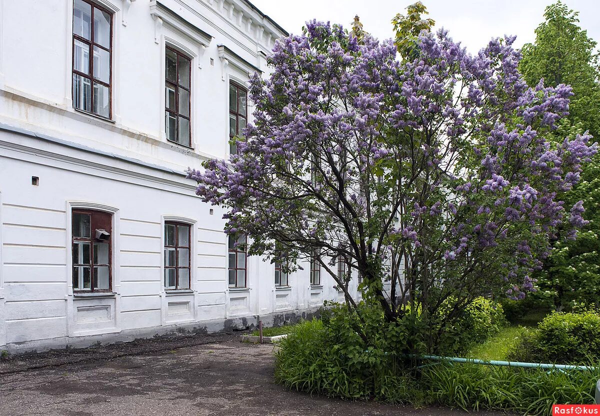 Сарапульский педагогический колледж