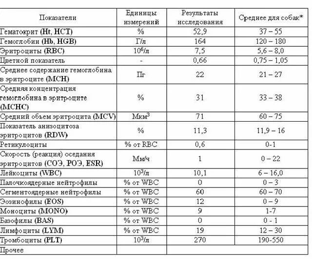 Объем гемоглобина в эритроците понижен. Средняя концентрация hgb в 1 эритроците норма. средняя концентрация гемоглобина в эритроците норма гл. среднее содержание гемоглобина в эритроците норма. средняя концентрация hb в эритроцитах мснс норма у женщин.