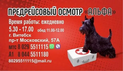 Альфа помощник