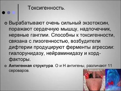 Определение токсигенности дифтерии