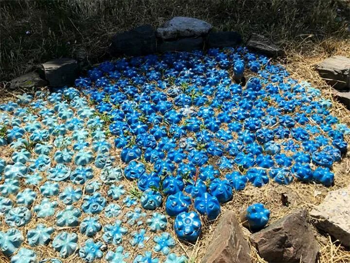 садовые дорожки из крышек. дорожки из бутылок на даче. бутылки пластиковые дорожки. бутылки пластиковые дорожки. тропинка из пластиковых бутылок.