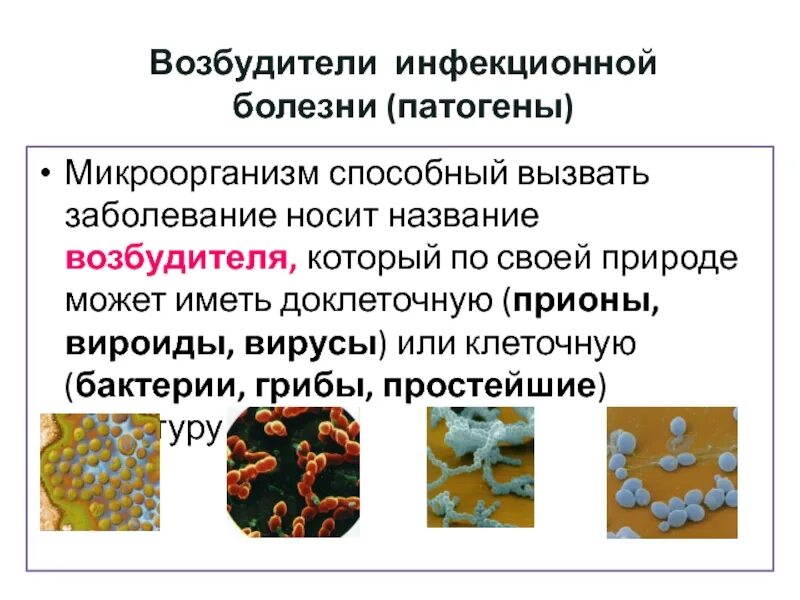 Вирусы возбудители инфекционных заболеваний. Основные возбудители инфекционных болезней. Простейшие возбудители инфекций. Вироиды вирусы. Специфический возбудитель инфекционного заболевания