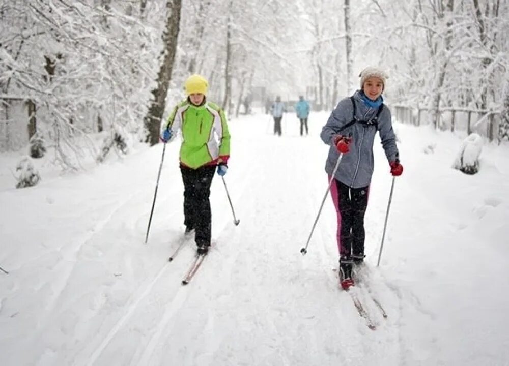парк волен яхрома официальный сайт. где покататься на лыжах в москве 2023. горнолыжка крылатские холмы. где покататься на лыжах в москве 2023. горнолыжка гай северина.