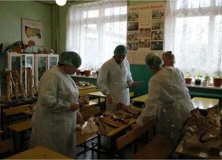Дубовский зооветеринарный колледж